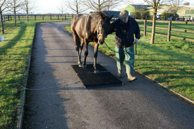 Palway Twin Platform Portable Scale with horse walking across