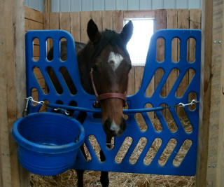 Aerohorse Plastic Stall Gate, blue and hanging in stall