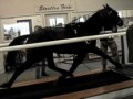 EquiGym High Speed Treadmill with Standardbred pacing fast