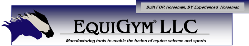 EquiGym - Manufacturing Tools to enable the fusion of equine science and sports